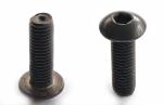 M5 x 16 mm Edelstahlschrauben mit Linsenkopf schwarz (1 Paar)